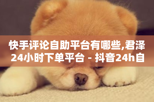 快手评论自助平台有哪些,君泽24小时下单平台 - 抖音24h自助推广下单平台 - 快手点赞充值秒到账怎么弄-第1张图片-ZBLOG