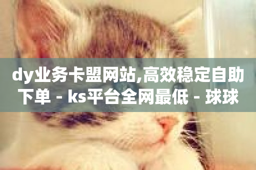 dy业务卡盟网站,高效稳定自助下单 - ks平台全网最低 - 球球大作战低价业务平台-第1张图片-ZBLOG