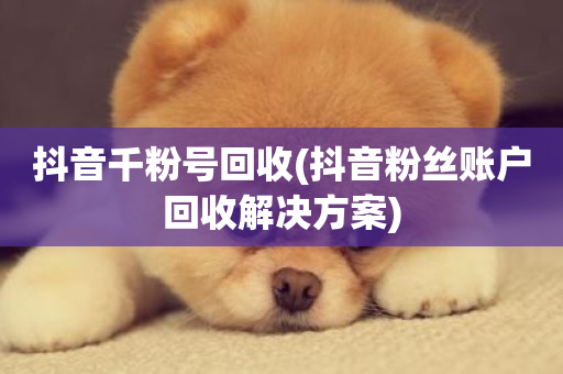 抖音千粉号回收(抖音粉丝账户回收解决方案)-第1张图片-ZBLOG