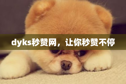 dyks秒赞网，让你秒赞不停-第1张图片-ZBLOG