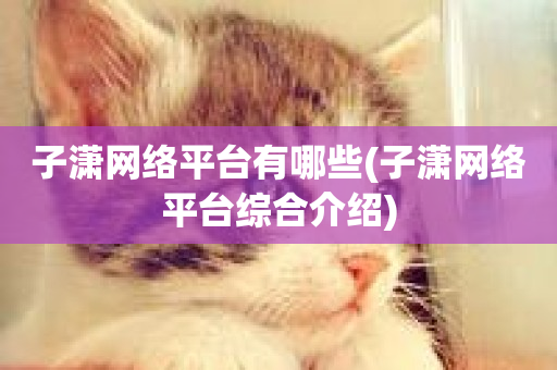 子潇网络平台有哪些(子潇网络平台综合介绍)-第1张图片-ZBLOG