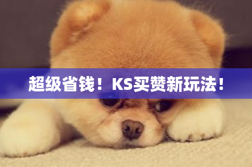 超级省钱！KS买赞新玩法！-第1张图片-ZBLOG