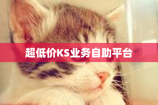 超低价KS业务自助平台-第1张图片-ZBLOG