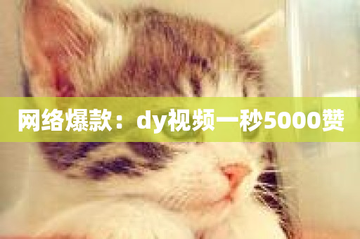 网络爆款：dy视频一秒5000赞-第1张图片-ZBLOG