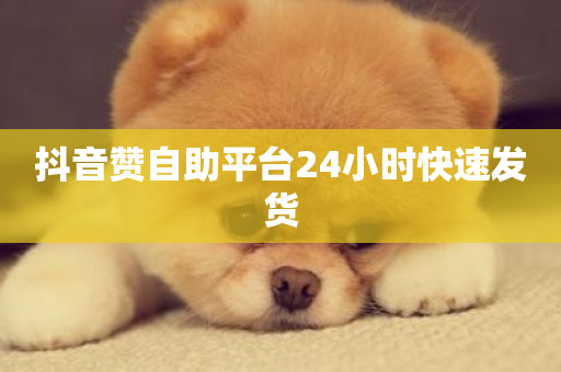 抖音赞自助平台24小时快速发货-第1张图片-ZBLOG