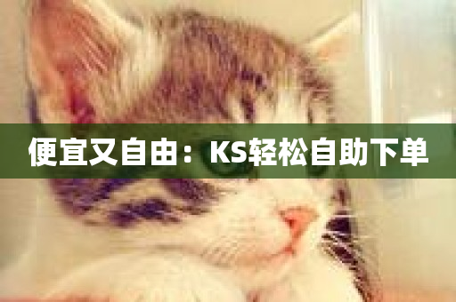 便宜又自由：KS轻松自助下单-第1张图片-ZBLOG