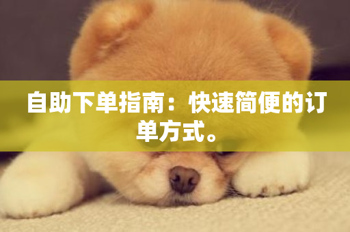 自助下单指南：快速简便的订单方式。-第1张图片-ZBLOG