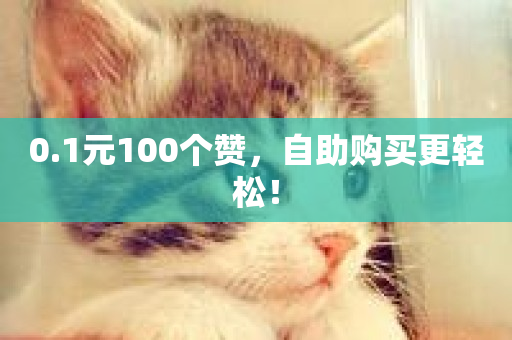 0.1元100个赞，自助购买更轻松！-第1张图片-ZBLOG