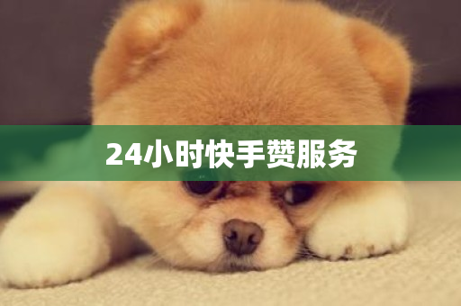 24小时快手赞服务-第1张图片-ZBLOG