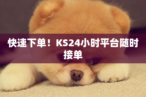 快速下单！KS24小时平台随时接单-第1张图片-ZBLOG