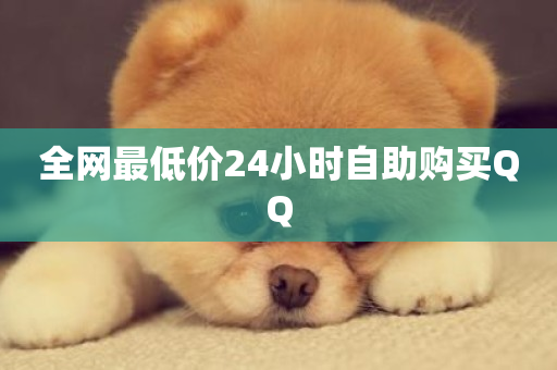 全网最低价24小时自助购买QQ-第1张图片-ZBLOG