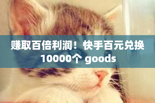 赚取百倍利润！快手百元兑换10000个 goods-第1张图片-ZBLOG