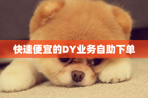 快速便宜的DY业务自助下单-第1张图片-ZBLOG