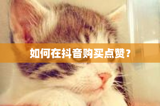 如何在抖音购买点赞？-第1张图片-ZBLOG