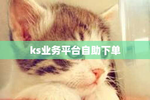 ks业务平台自助下单-第1张图片-ZBLOG