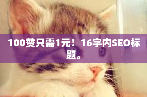 100赞只需1元！16字内SEO标题。-第1张图片-ZBLOG