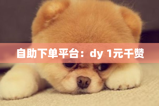 自助下单平台：dy 1元千赞-第1张图片-ZBLOG