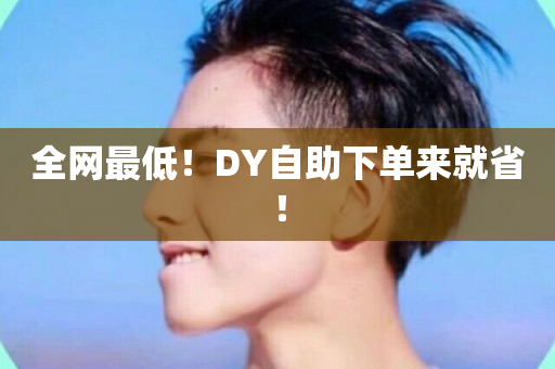 全网最低！DY自助下单来就省！-第1张图片-ZBLOG