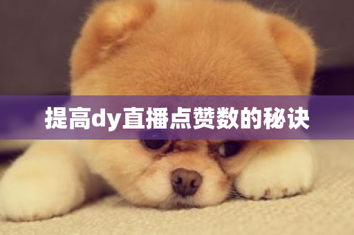 提高dy直播点赞数的秘诀-第1张图片-ZBLOG