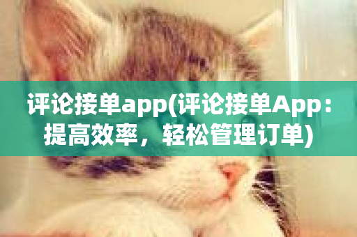 评论接单app(评论接单App：提高效率，轻松管理订单)-第1张图片-ZBLOG