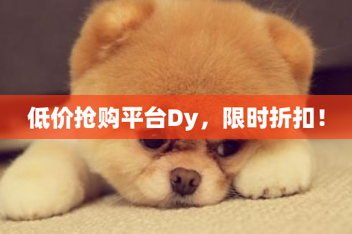 低价抢购平台Dy，限时折扣！