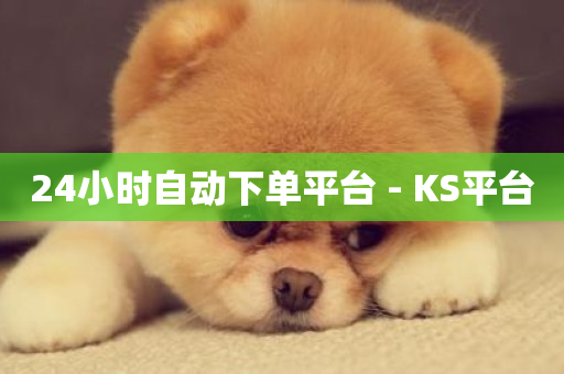 24小时自动下单平台 - KS平台-第1张图片-ZBLOG