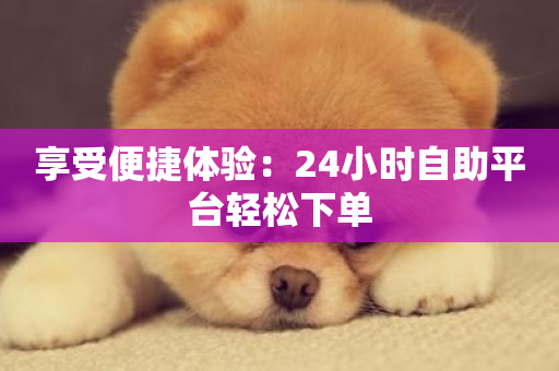 享受便捷体验：24小时自助平台轻松下单-第1张图片-ZBLOG