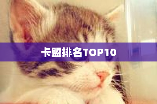 卡盟排名TOP10-第1张图片-ZBLOG