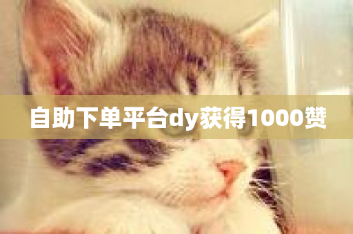 自助下单平台dy获得1000赞-第1张图片-ZBLOG