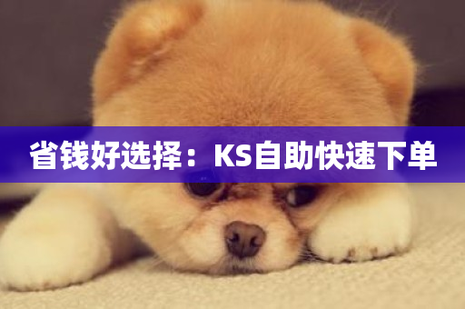 省钱好选择：KS自助快速下单