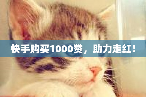 快手购买1000赞，助力走红！-第1张图片-ZBLOG