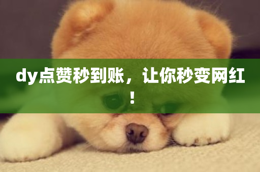 dy点赞秒到账，让你秒变网红！-第1张图片-ZBLOG