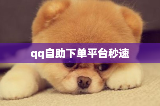 qq自助下单平台秒速-第1张图片-ZBLOG