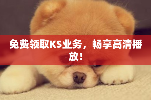 免费领取KS业务，畅享高清播放！-第1张图片-ZBLOG