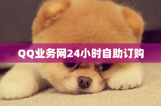 QQ业务网24小时自助订购-第1张图片-ZBLOG