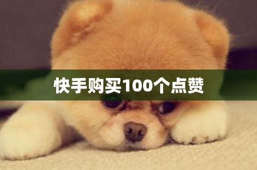 快手购买100个点赞