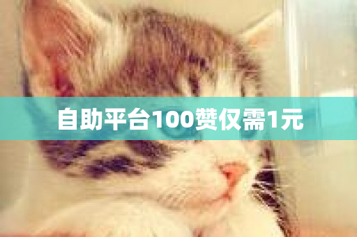 自助平台100赞仅需1元-第1张图片-ZBLOG