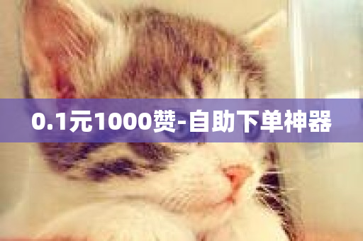 0.1元1000赞-自助下单神器-第1张图片-ZBLOG