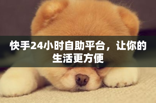 快手24小时自助平台，让你的生活更方便-第1张图片-ZBLOG