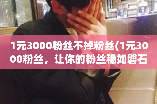 1元3000粉丝不掉粉丝(1元3000粉丝，让你的粉丝稳如磐石)