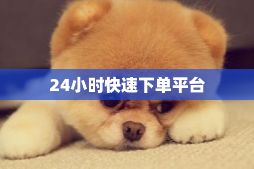 24小时快速下单平台-第1张图片-ZBLOG