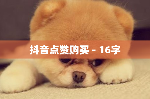 抖音点赞购买 - 16字-第1张图片-ZBLOG