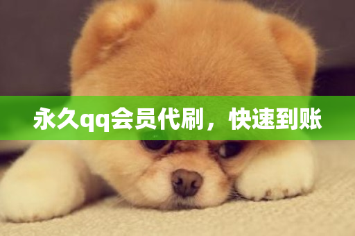 永久qq会员代刷，快速到账-第1张图片-ZBLOG