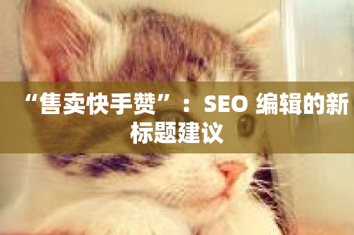 “售卖快手赞”：SEO 编辑的新标题建议-第1张图片-ZBLOG