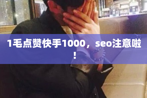 1毛点赞快手1000，seo注意啦！