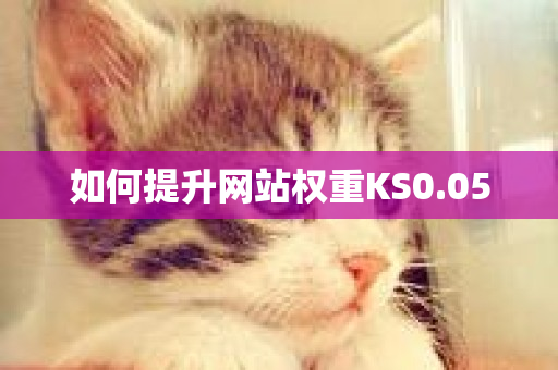 如何提升网站权重KS0.05-第1张图片-ZBLOG