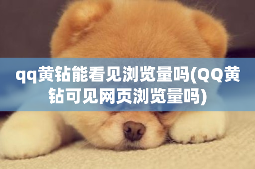 qq黄钻能看见浏览量吗(QQ黄钻可见网页浏览量吗)-第1张图片-ZBLOG