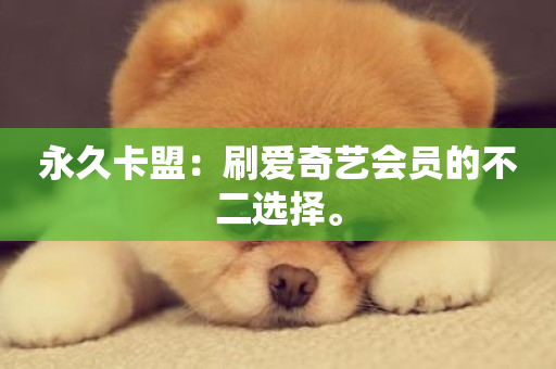 永久卡盟：刷爱奇艺会员的不二选择。-第1张图片-ZBLOG