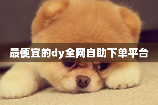 最便宜的dy全网自助下单平台-第1张图片-ZBLOG