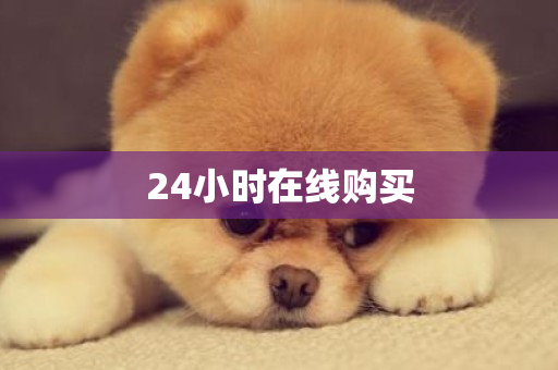 24小时在线购买-第1张图片-ZBLOG